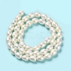 Natural Cultured Freshwater Pearl Beads Strands PEAR-E016-167-3