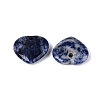 Natural Sodalite Pendants G-Q601-29B-2