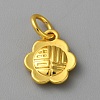Alloy Pendants with Chinese Characters LS-FIND-WH0159-63G-17-1
