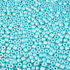 Baking Paint Pearlized Glass Seed Beads SEED-T008-03Q-3