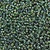 MIYUKI Round Rocailles Beads SEED-JP0008-RR1026-3