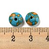 Dyed Synthetic Turquoise Beads G-B070-41B-3