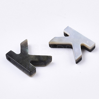 Natural Black Lip Shell Beads LS-X-SSHEL-S265-001K-1