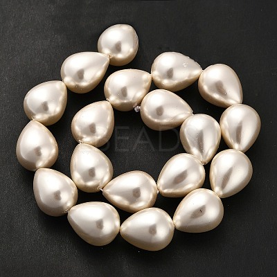 Electroplate Shell Pearl Beads Strands BSHE-G010-16x20mm-01-1