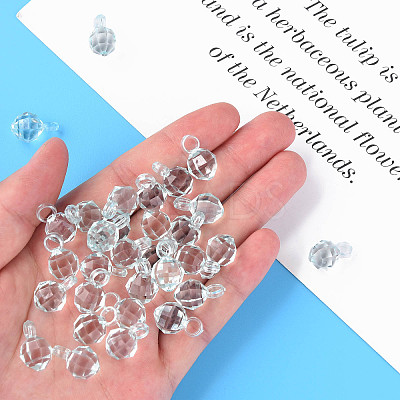 Transparent Acrylic Pendants MACR-S373-125-B06-1