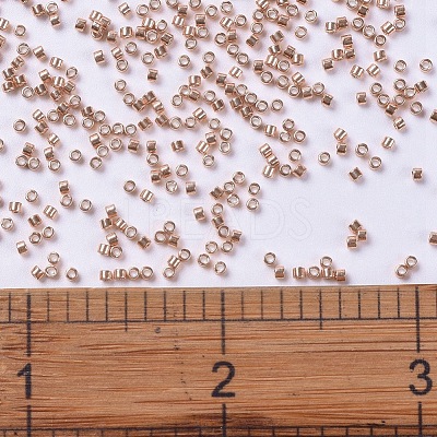 MIYUKI Delica Beads X-SEED-J020-DB0434-1