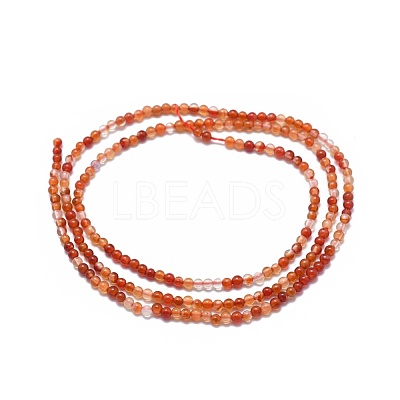 Natural Carnelian Beads Strands X-G-A177-04-19-1
