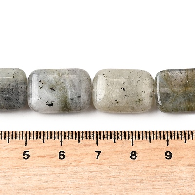 Natural Labradorite Beads Strands G-S386-A03-1