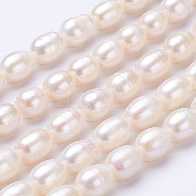 Natural Cultured Freshwater Pearl Beads Strands PEAR-P002-13-01-1