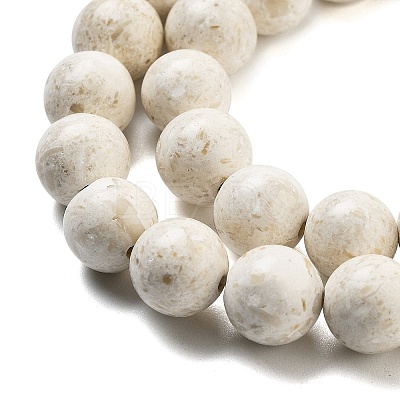 Natural Fossil Beads Strands G-H026-02C-1