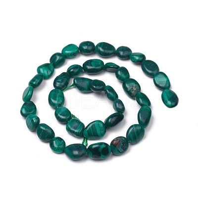 Natural Malachite Beads Strands X-G-L493-42A-1