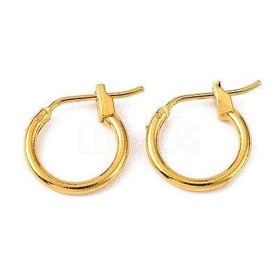 Brass Hoop Earrings X-EC107-1NFG-1