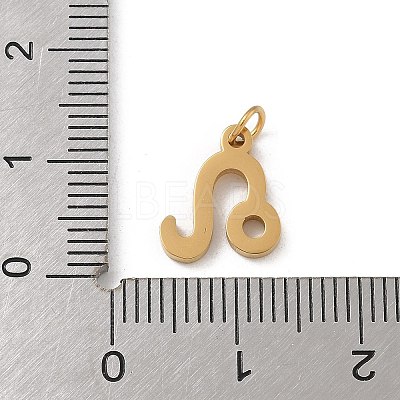 304 Stainless Steel Charms STAS-R001-04G-05-1