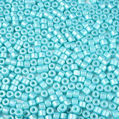 Baking Paint Pearlized Glass Seed Beads SEED-T008-03Q-1