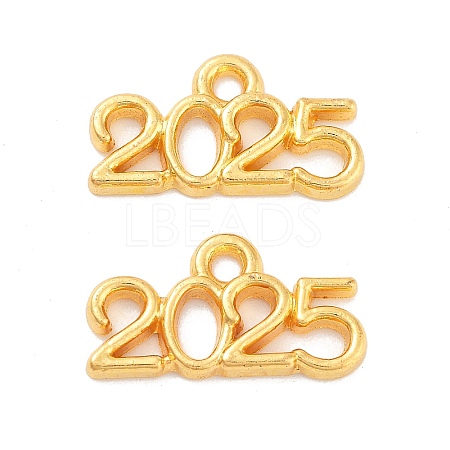 Rack Plating Alloy Pendants PALLOY-S190-06G-05-1