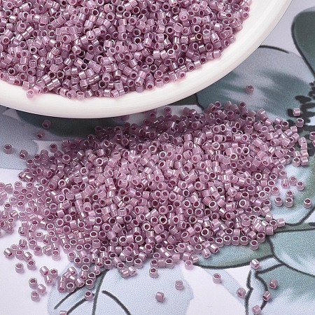 MIYUKI Delica Beads SEED-X0054-DB1752-1