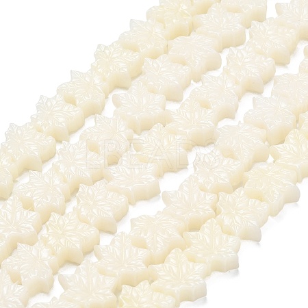 Synthetic Coral Dyed Carved Beads BSHE-H114-02B-1