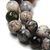 Natural Dendritic Jasper Beads Strands G-R494-A23-02-3