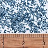MIYUKI Delica Beads SEED-X0054-DB0608-4