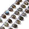 Natural Labradorite Beads Strands G-I246-09-A-1