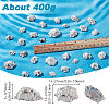 400G Natural Shell Beads SHEL-GA0002-31-2