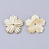 Yellow Shell Beads SSHEL-S251-37-2