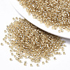 Glass Seed Beads X1-SEED-S042-04A-05-1