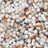 Baking Paint Glass Seed Beads SEED-F005-01A-07-3