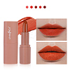 5 Colors Velvet Lipstick MRMJ-Q034-063-5