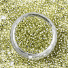 Glass Seed Beads X-SEED-S042-04A-02-2