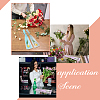 120Pcs 6 Colors OPP Gift Bags ABAG-NB0001-34-6