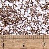 MIYUKI Delica Beads X-SEED-J020-DB0506-4