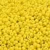 Glass Seed Beads SEED-A010-3mm-42-3