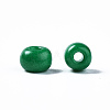 6/0 Glass Seed Beads SEED-S058-A-F280-5