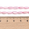 Natural Freshwater Shell Beads Strands SHEL-C010-01E-4