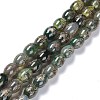 Tibetan Style dZi Beads Strands TDZI-E005-01R-1