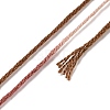 10 Skeins 6-Ply Polyester Embroidery Floss OCOR-K006-A10-3