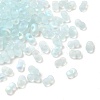 Glass Frosted Seed Beads LS-SEED-NH0002-01D-2