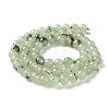 Natural White Jade Imitation Prehnite Beads Strands G-I299-F12-6mm-2
