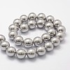 Shell Pearl Beads Strands BSHE-L026-05-10mm-2