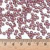 TOHO 6/0 Round Beads SEED-TR06-0166B-4
