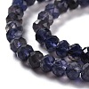 Natural Iolite Beads Strands G-K312-13B-01-3