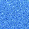 MIYUKI Delica Beads SEED-X0054-DB1109-3