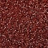 MIYUKI Delica Beads X-SEED-J020-DB2152-3