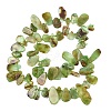 Natural Chrysoprase Beads Strands GG-CBA3D9B-14A-3