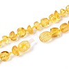 Natural Amber Nuggets Beaded Necklaces NJEW-T019-10-5