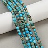 Dyed Natural Regalite/Imperial Jasper/Sea Sediment Jasper Beads Strands G-B124-C04-10-5