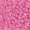 6/0 Glass Seed Beads SEED-A015-4mm-2217-2