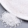 11/0 Grade A Baking Paint Glass Seed Beads X-SEED-S030-0401-1