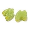 Fruit Opaque Resin Decoden Cabochons RESI-H156-01-07-2